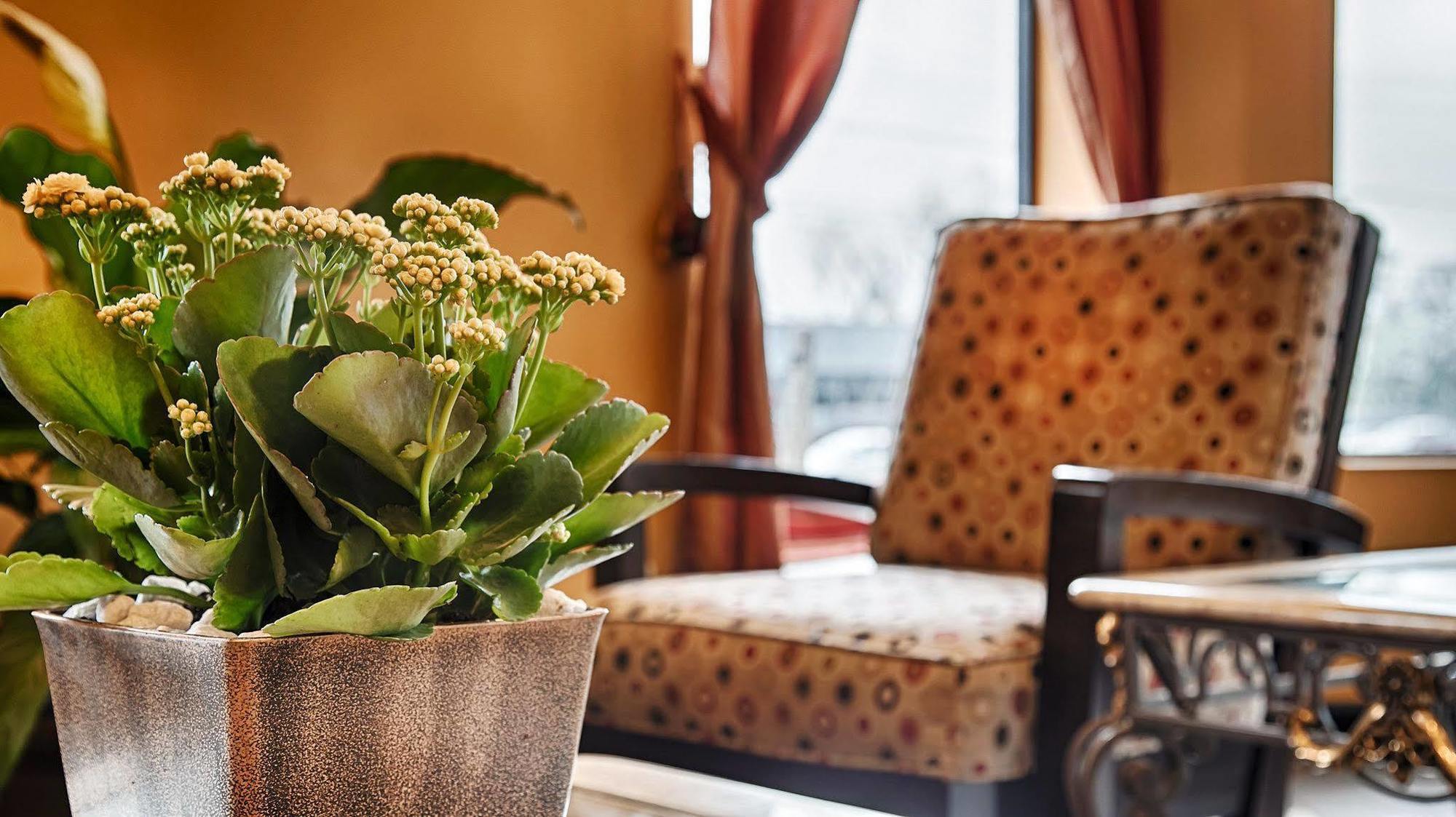 Econo Lodge Inn & Suites Fort Oglethorpe Интериор снимка